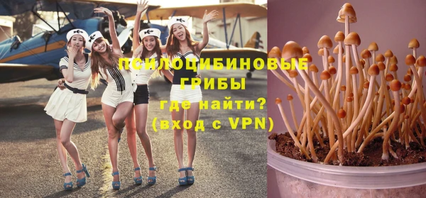 шишки Аркадак