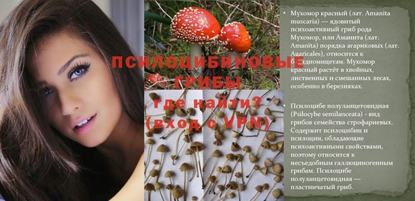 мескалин Баксан