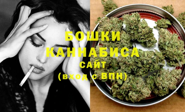 шишки Аркадак